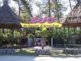 Zoo du bassin d